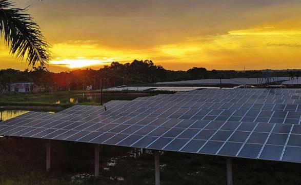 Tongwei: Promoting Solar Energy Inclusivity